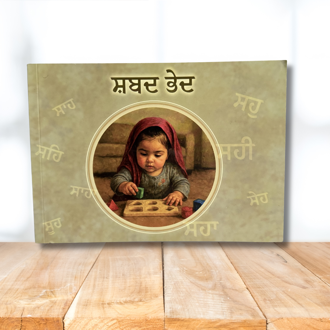 Punjabi Book Set for Kids and Toddlers for Homeschool Punjabi