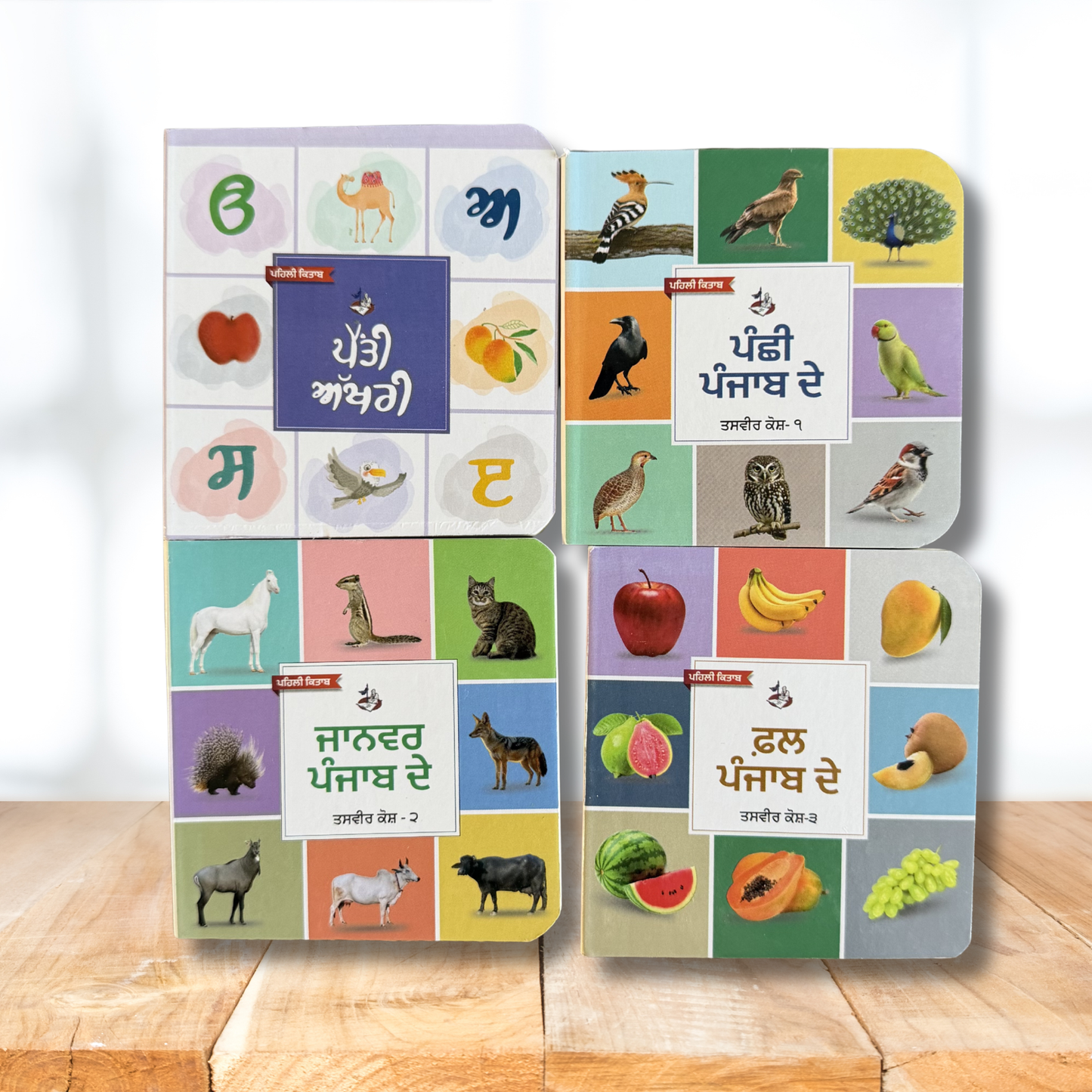My First Punjabi Card Books Set for Children | Pehli Kitab