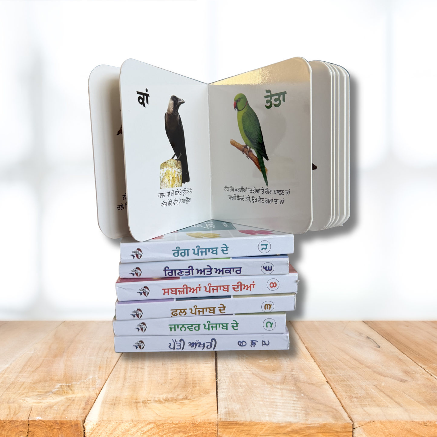 My First Punjabi Card Books Set for Children | Pehli Kitab