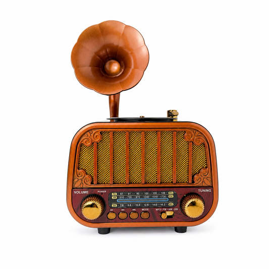 Vintage Gurbani Radio Gramophone Style