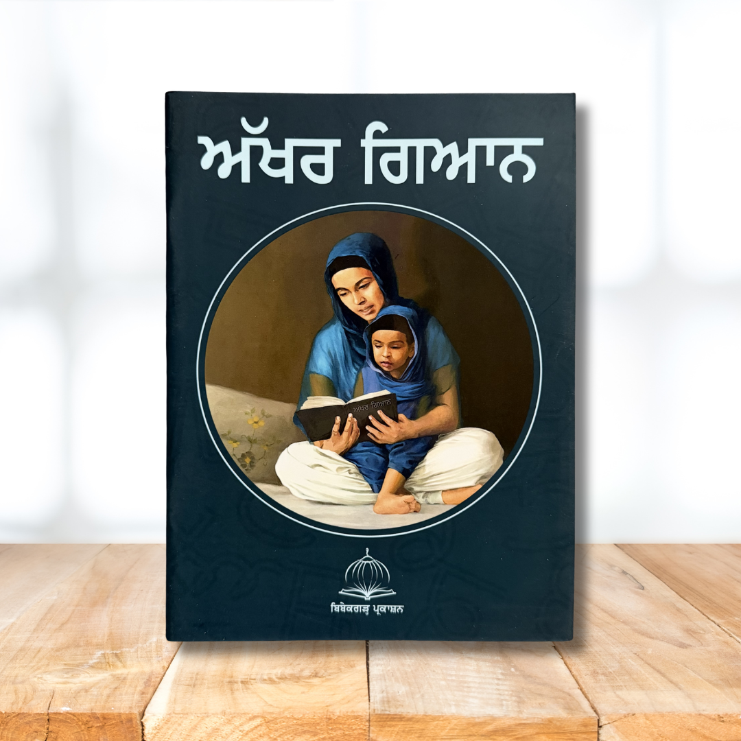 Punjabi Book Set for Kids and Toddlers for Homeschool Punjabi