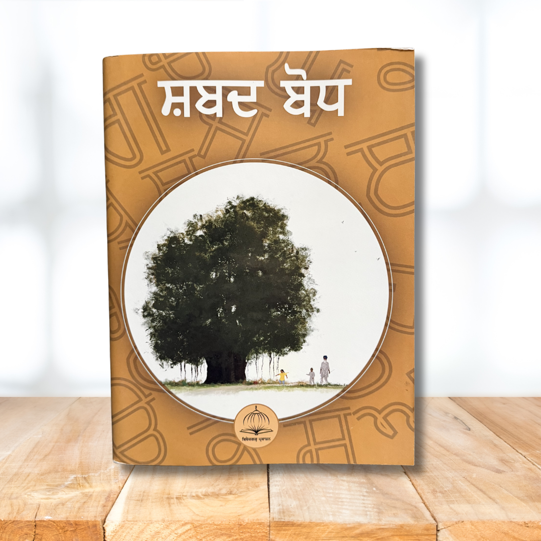 Punjabi Book Set for Kids and Toddlers for Homeschool Punjabi