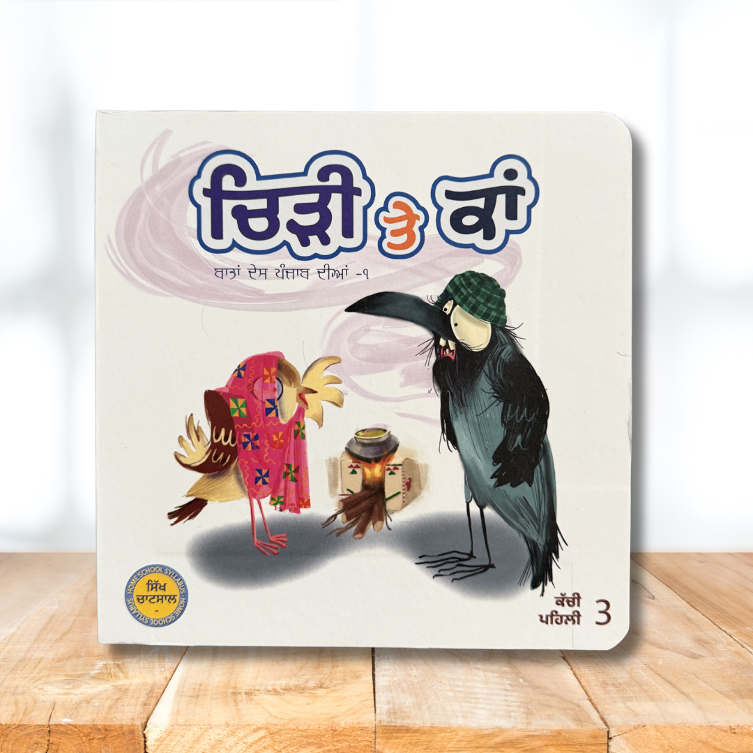 Punjabi Book Set for Kids and Toddlers for Homeschool Punjabi