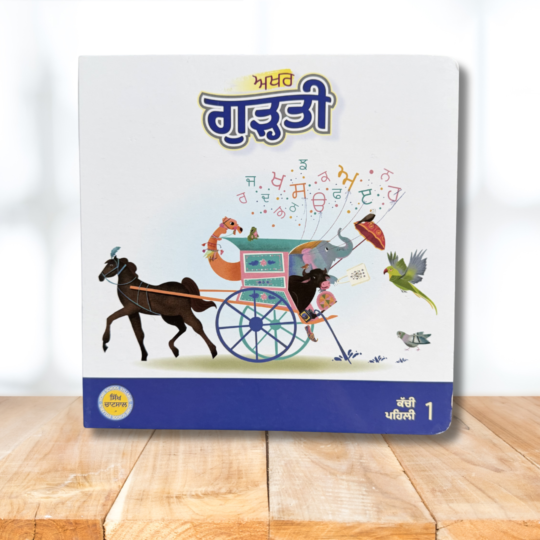 Punjabi Book Set for Kids and Toddlers for Homeschool Punjabi