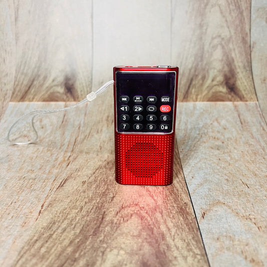 Portable Compact Gurbani Radio (Mobile Size)